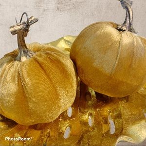 Modern Urban Fall Autumn Velvet 15”D Pumpkin Pair